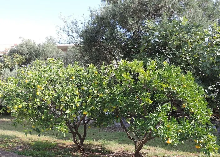 Dubrovnik-cavtat Lejlighed