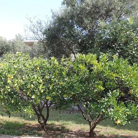 Dubrovnik-cavtat Apartment